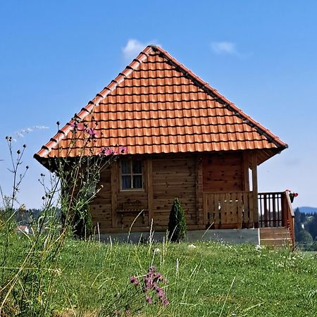 Etno Domacinstvo Uvacki Konaci Villa Nova Varos Exterior photo